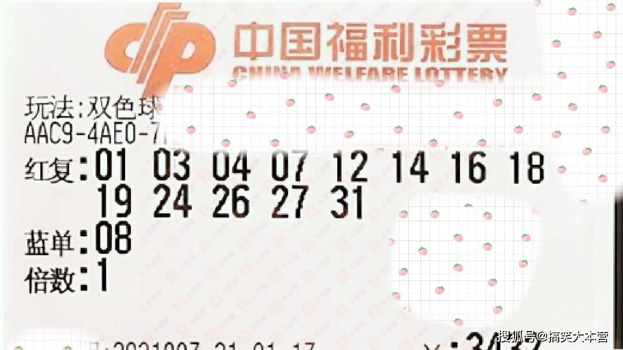 双色球第203期开奖结果揭晓，幸运与期待交织的夜晚
