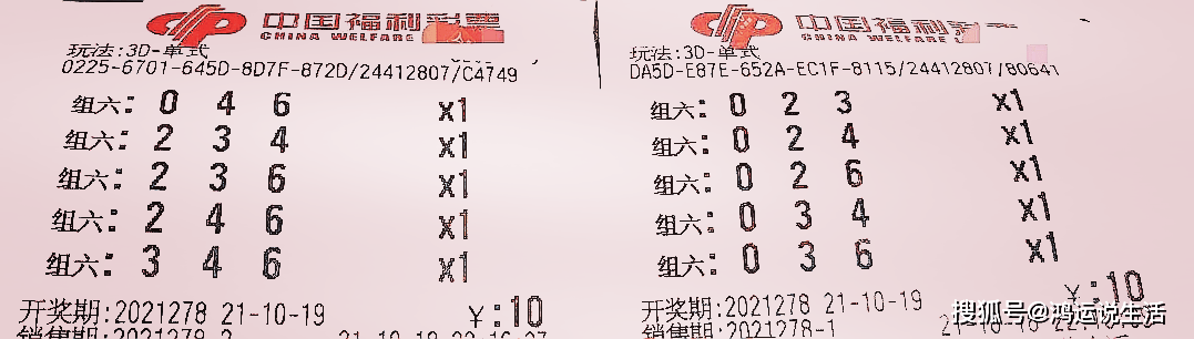 揭开今日3D字谜的神秘面纱，一句定三码与数字和的独特奥秘