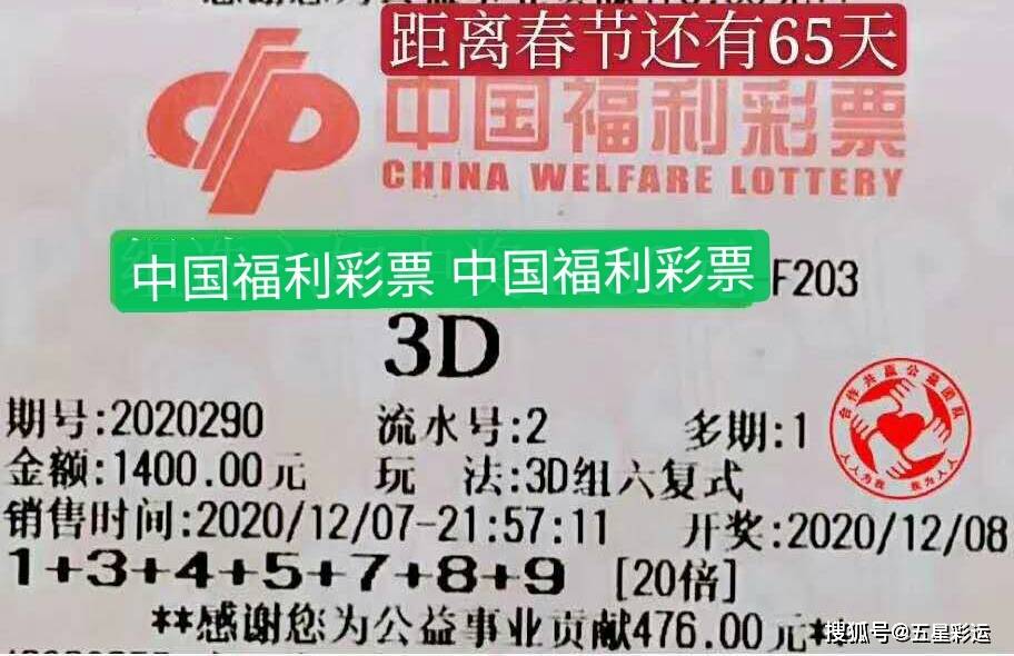 晒票今天3D——探索彩票的魅力与挑战