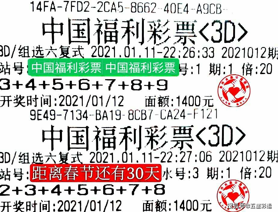 福彩3D与字谜总汇——探索神秘的彩票世界