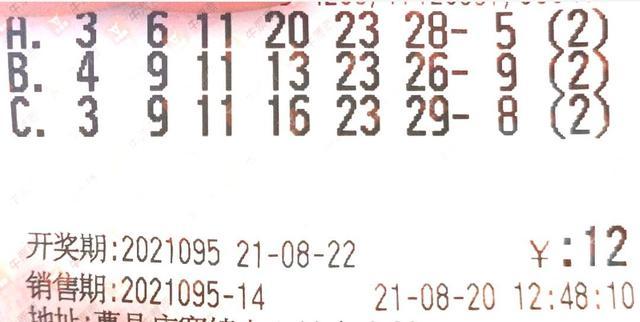 双色球20​​年第四期开奖结果，幸运与梦想的交汇点