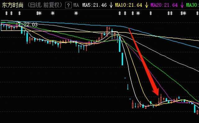 东方时尚驾校股票，市场潜力与投资机会分析