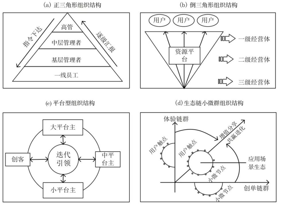 会计信息网福建，连接数字时代与财务管理的桥梁