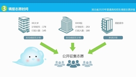 湖北省招生信息网登录需求解析