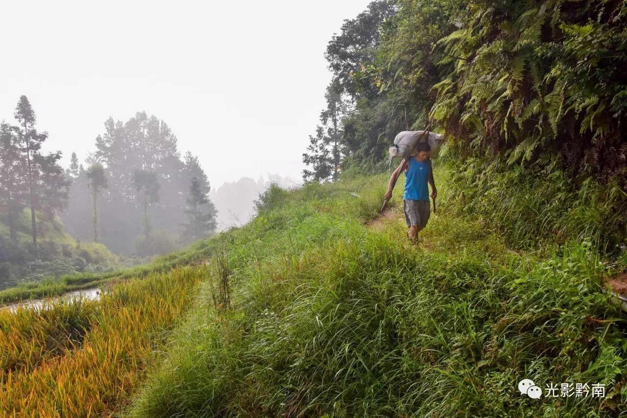 莫道君行早踏遍青山人未老——探寻人生旅途中的坚韧与恒久之美