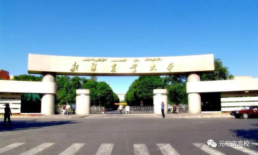 新疆农业大学位置