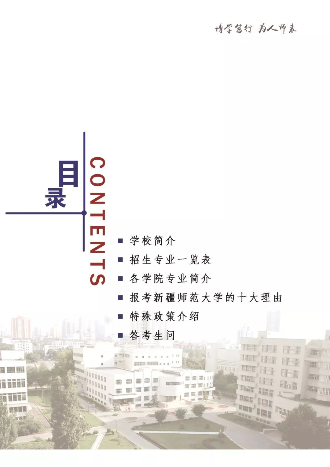 头顶三级头 第43页