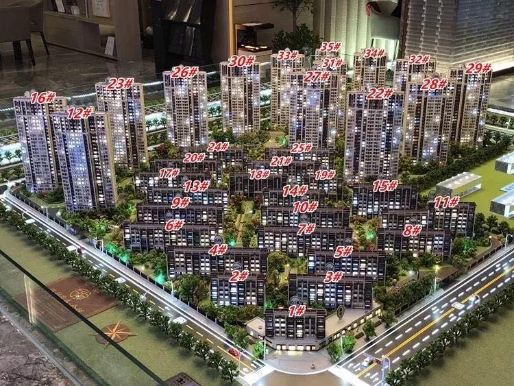 澳门六合走势图239期开奖记录查询表最新版深度解析