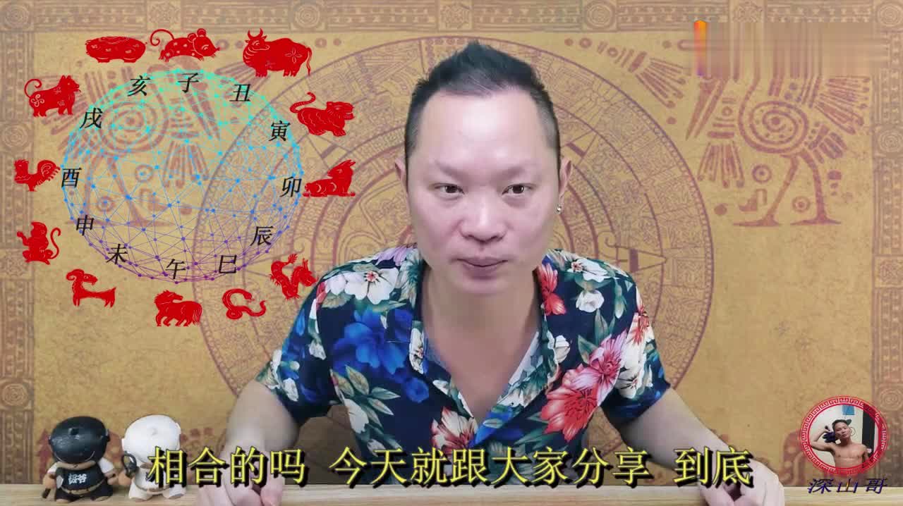 澳门六合开奖直播，大众网站视频播放与下载的新体验