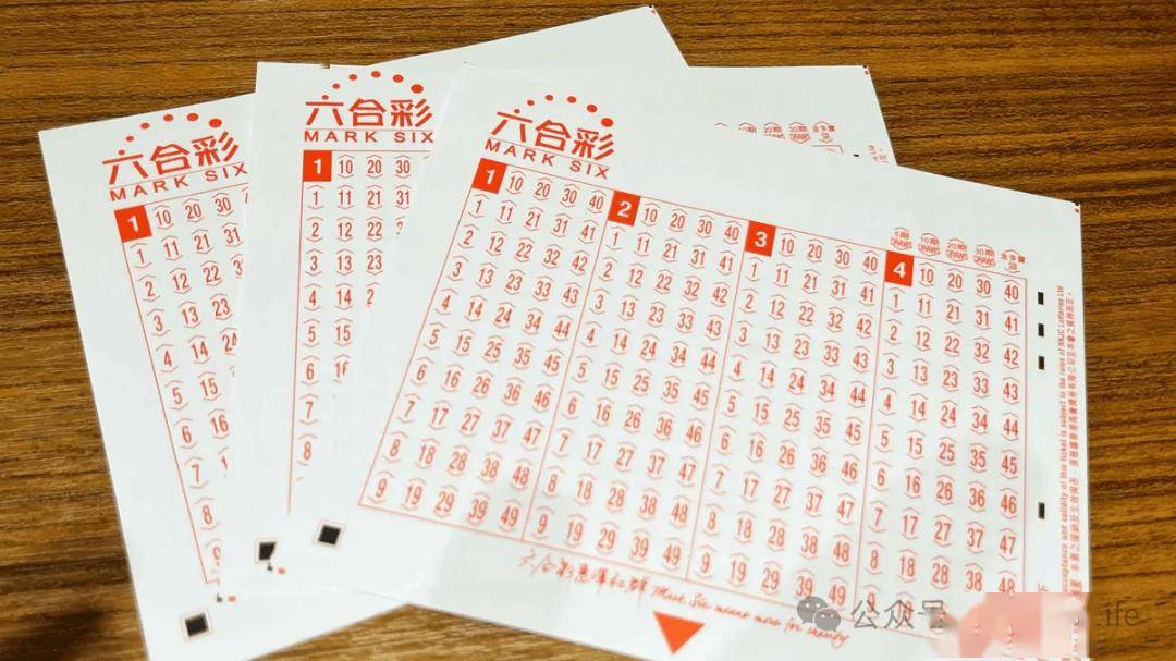 澳门彩票网站下载安装大全最新中文版免费，探索数字梦想的起点