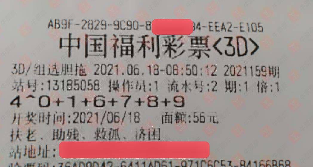 澳门六合总彩生肖彩票的魅力与期待，十月一号的神秘开奖