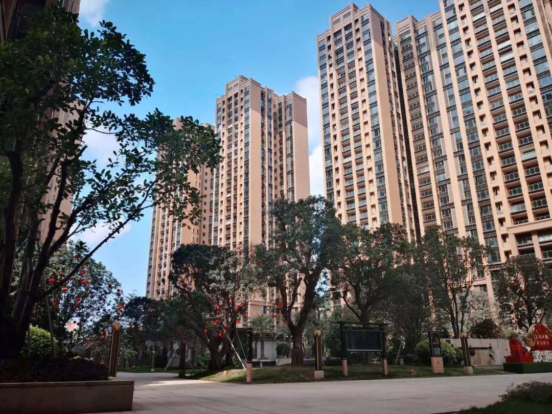 澳门赌牌公司上市情况解析