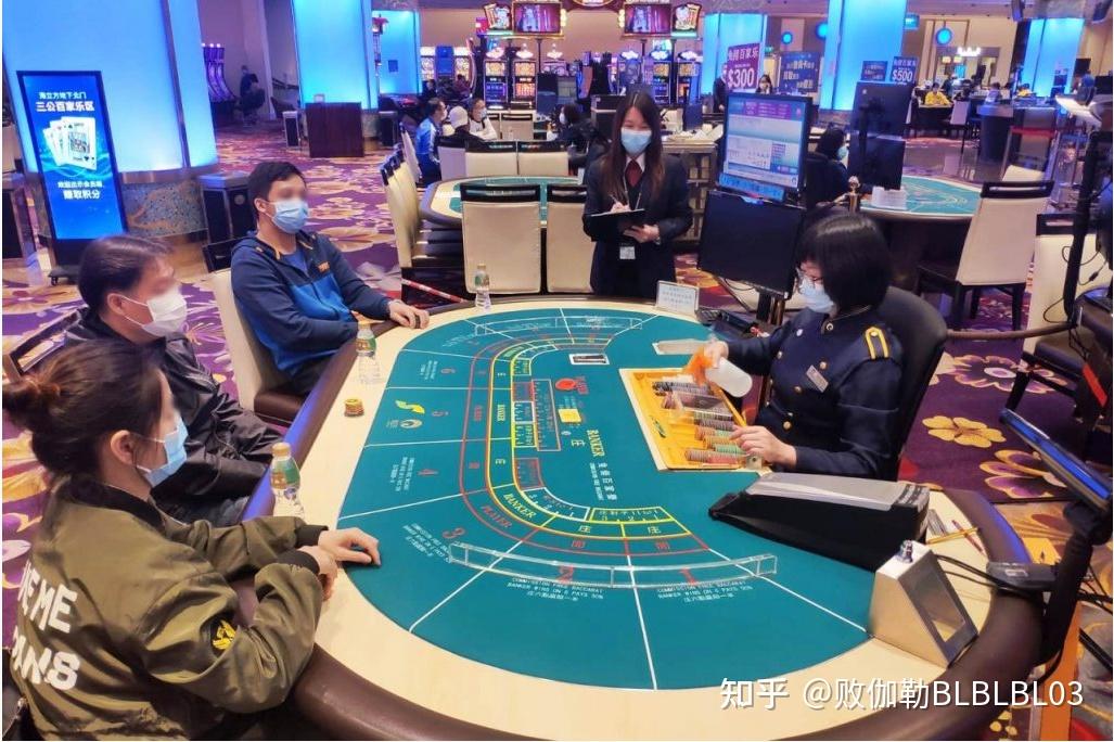 澳门赌牌持有者与价值深度解析