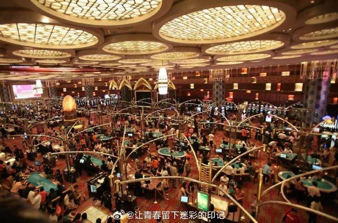 澳门赌牌最新持有情况深度解析，谁将成为下一个幸运儿？知乎文章独家解读