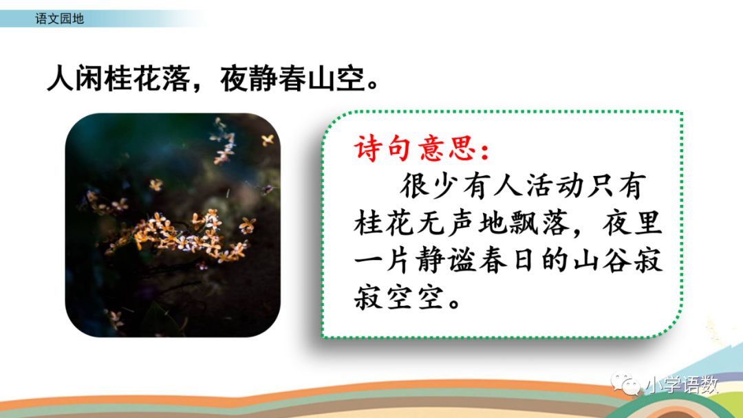 澳门赌牌最新动态，六张重要牌照花落何处？视频播放全面解析
