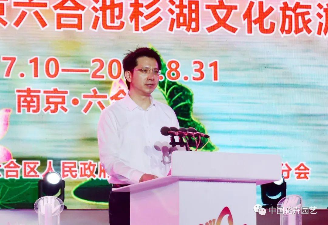 澳门六合开彩挑码助手怎么选号，全面解析与视频讲解