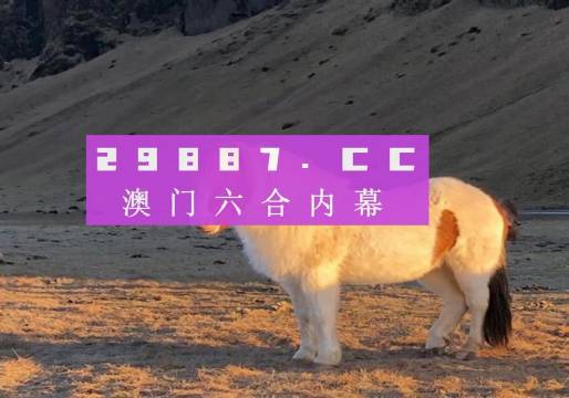 澳门六会彩网站在线看完整免费版国语版的魅力与探索