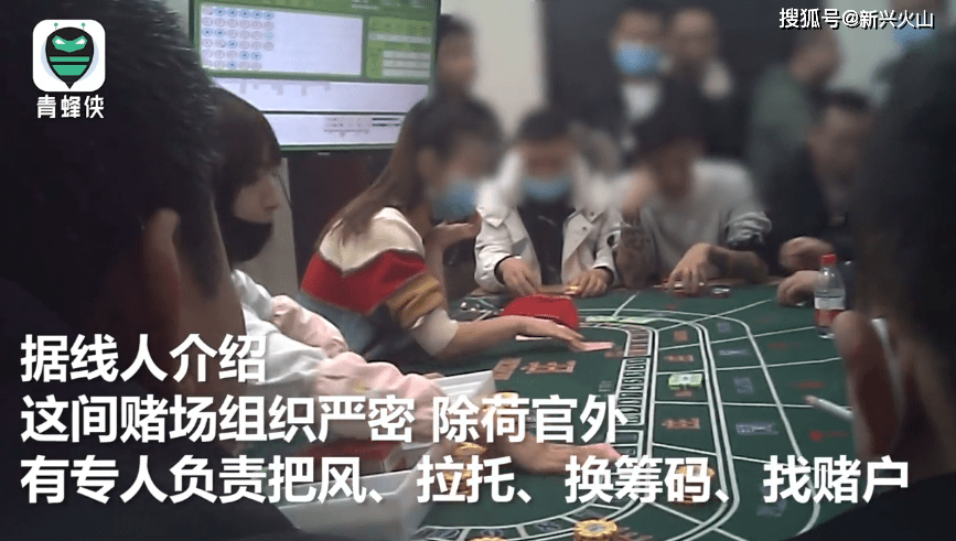 澳门女赌客传奇，从六万到一亿之路—视频在线观看与完整下载体验分享
