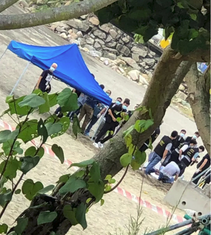 澳门6万赢一亿女赌客传奇故事，视频完整播放、下载安装及最新动态