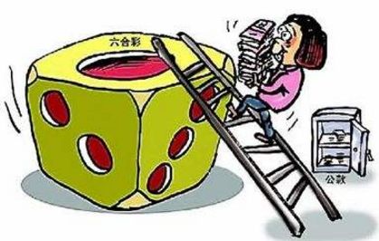 澳门6盒彩开奖结果与生肖图片揭秘