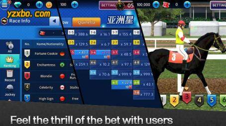 澳门彩票网站下载安装手机版官方正版最新版，探索与体验