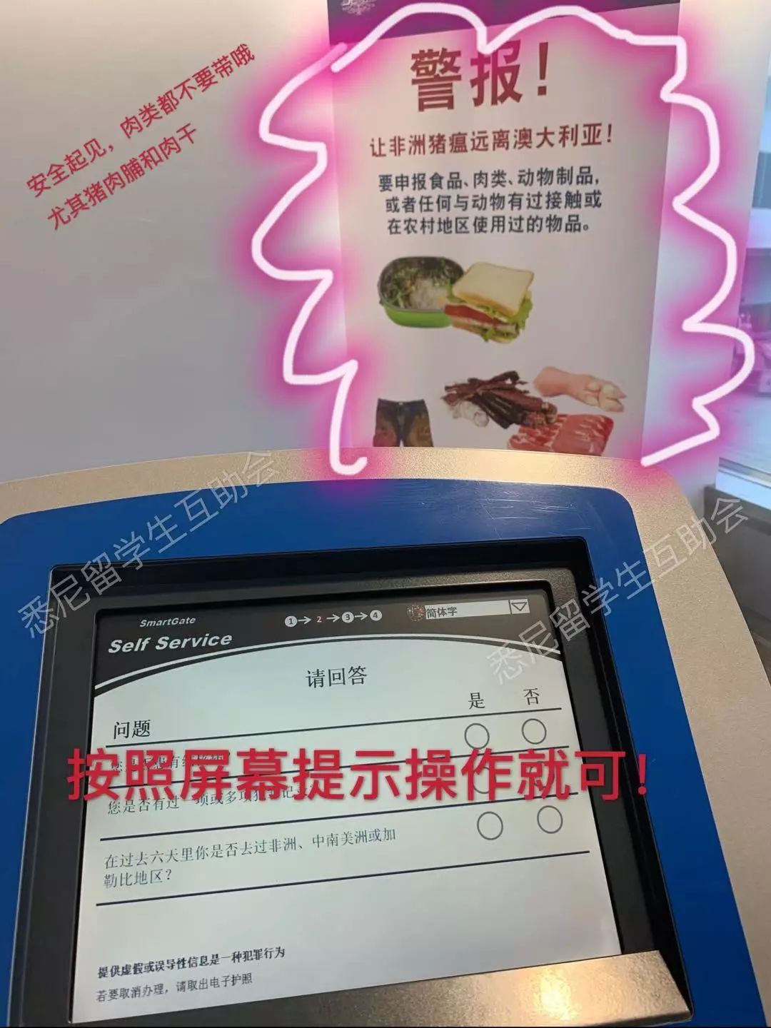 看图找生肖